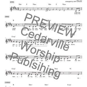 Behold The King by Noah Ayers and Ryan Lee (Lead Sheet in B)